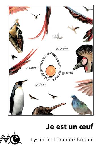 Je est un &oelig;uf