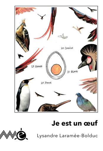 Je est un &oelig;uf